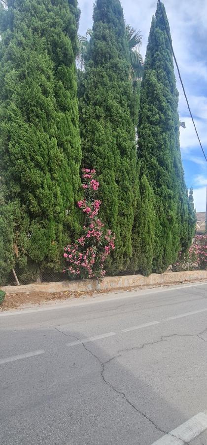 Coqueto Apartamento Murcia Eksteriør bilde
